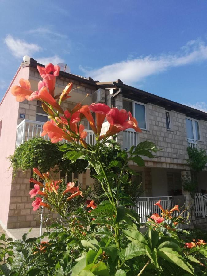 Apartmani Danica Orebic Ngoại thất bức ảnh